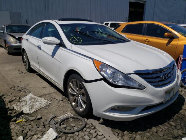 HYUNDAI SONATA SE 2013 5npec4ac3dh607113