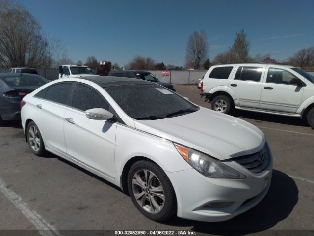 HYUNDAI SONATA 2013 5npec4ac3dh628639