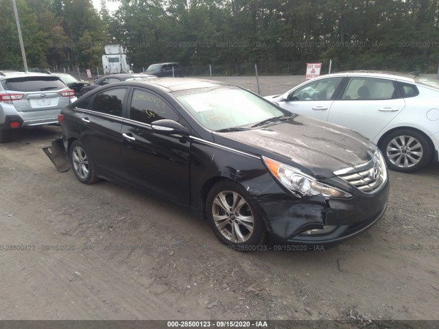 HYUNDAI SONATA 2013 5npec4ac3dh704618