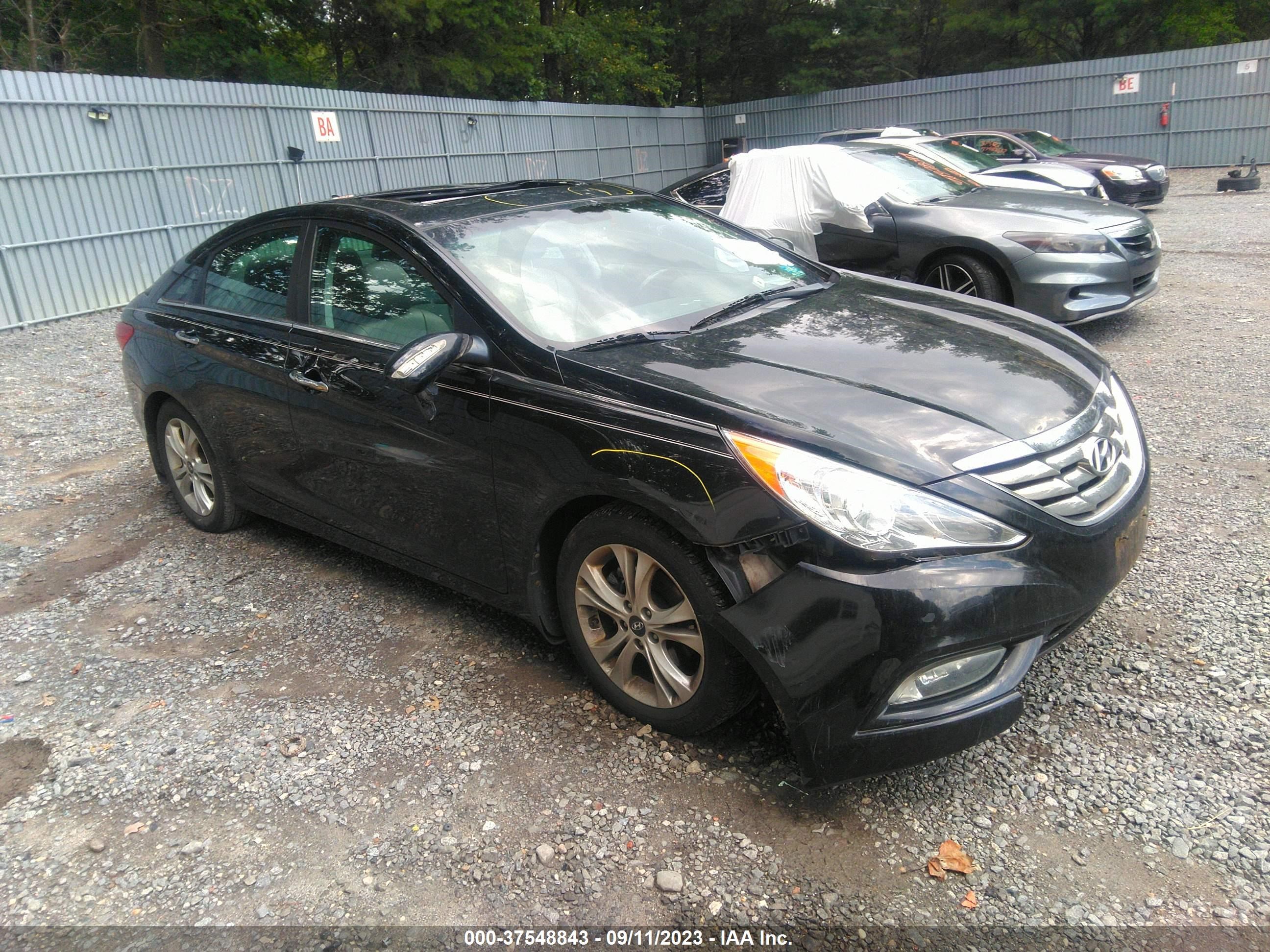 HYUNDAI SONATA 2013 5npec4ac3dh718440