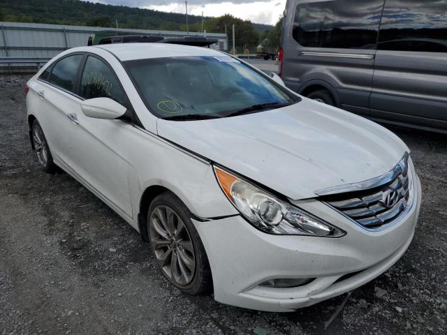 HYUNDAI SONATA SE 2013 5npec4ac3dh778069