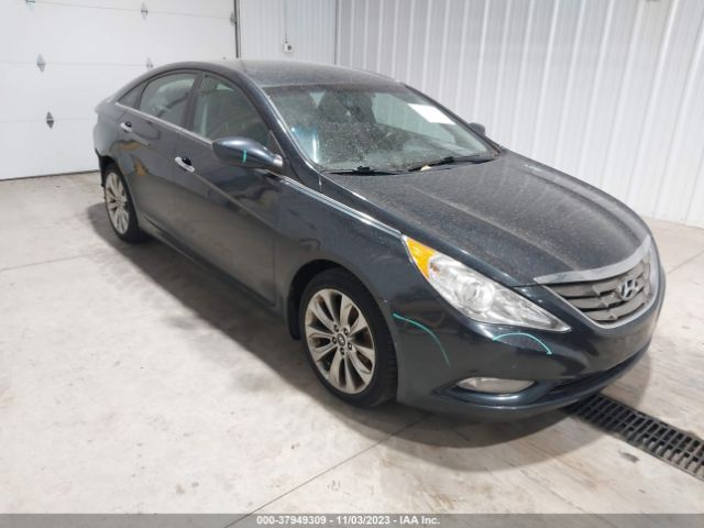 HYUNDAI SONATA 2013 5npec4ac3dh787919