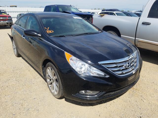 HYUNDAI SONATA SE 2013 5npec4ac3dh789699