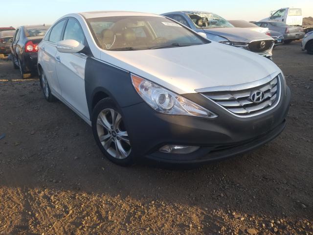 HYUNDAI SONATA 2013 5npec4ac3dh798502