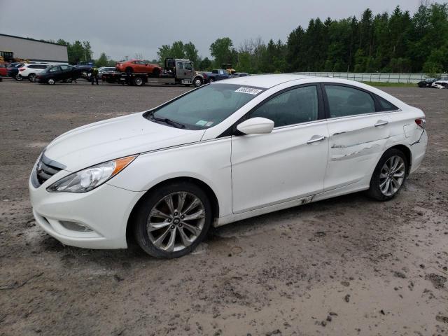 HYUNDAI SONATA 2013 5npec4ac3dh800636