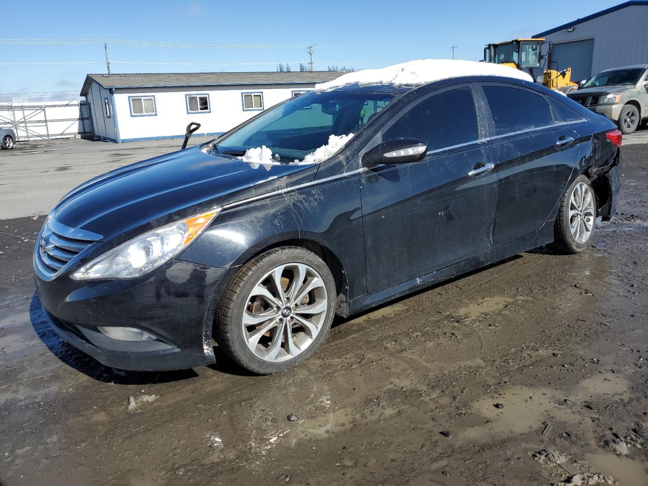 HYUNDAI SONATA 2014 5npec4ac3eh816210