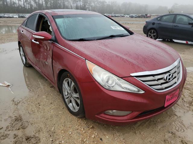 HYUNDAI SONOTA 2011 5npec4ac4bh239957