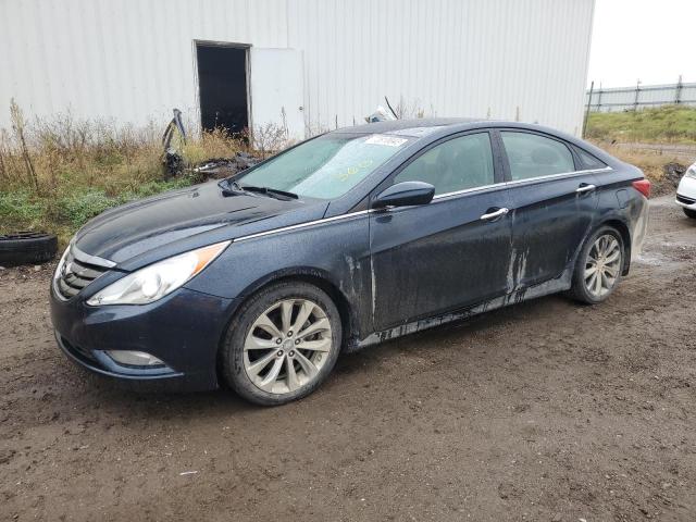 HYUNDAI SONATA 2013 5npec4ac4dh527058