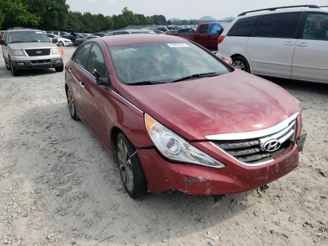 HYUNDAI SONATA 2014 5npec4ac4eh920009