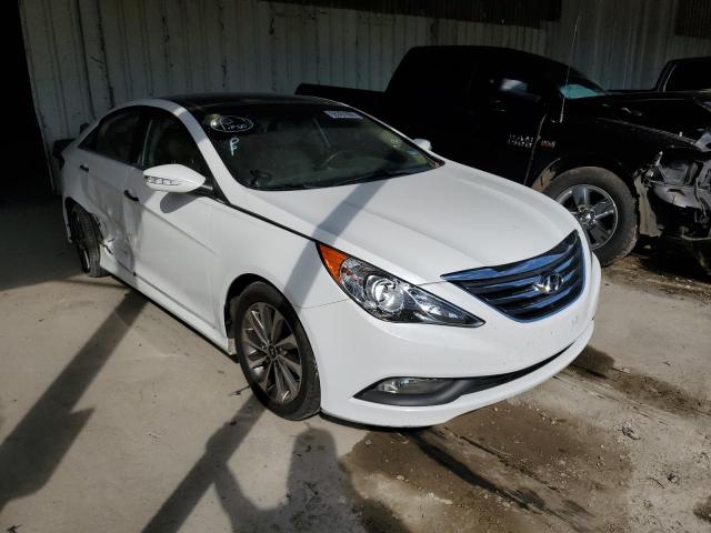 HYUNDAI SONATA SE 2014 5npec4ac5eh833638