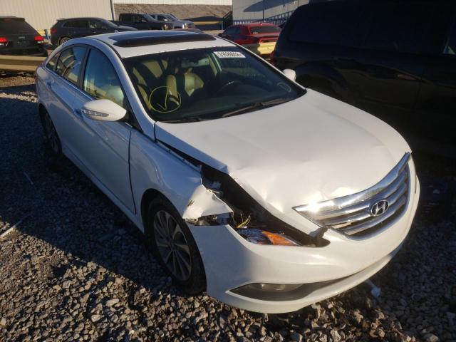 HYUNDAI SONATA SE 2014 5npec4ac5eh889076