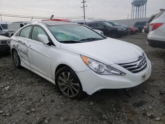 HYUNDAI SONATA SE 2014 5npec4ac5eh936994