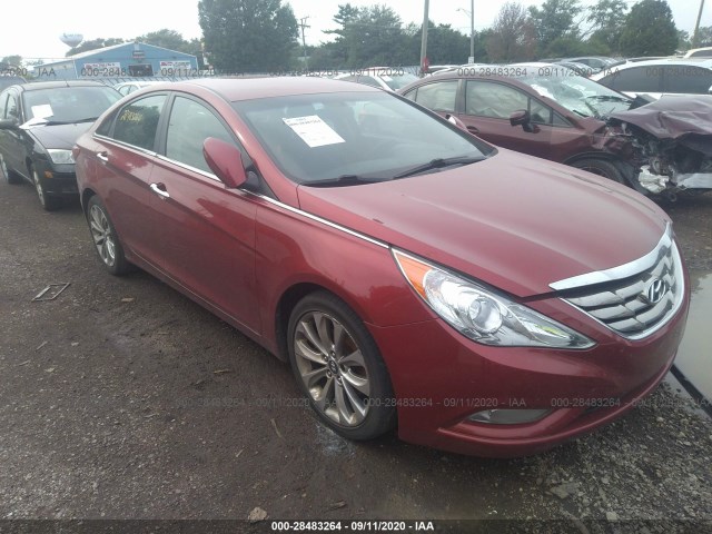 HYUNDAI SONATA 2011 5npec4ac6bh007814