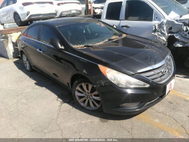 HYUNDAI SONATA 2011 5npec4ac6bh039484