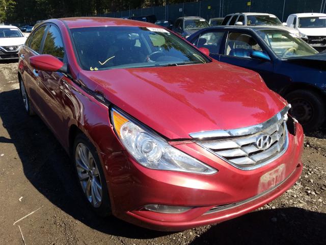 HYUNDAI SONATA SE 2013 5npec4ac6dh565360