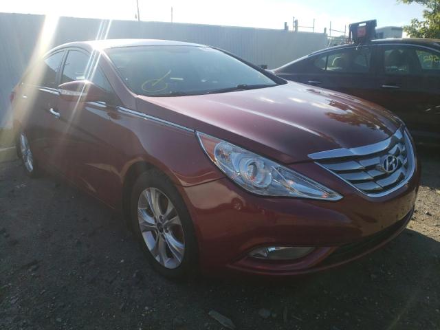 HYUNDAI SONATA 2013 5npec4ac6dh598911