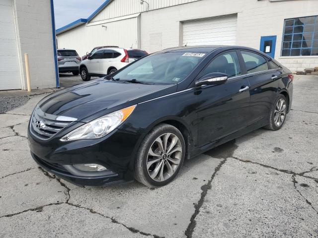 HYUNDAI SONATA 2014 5npec4ac6eh855759