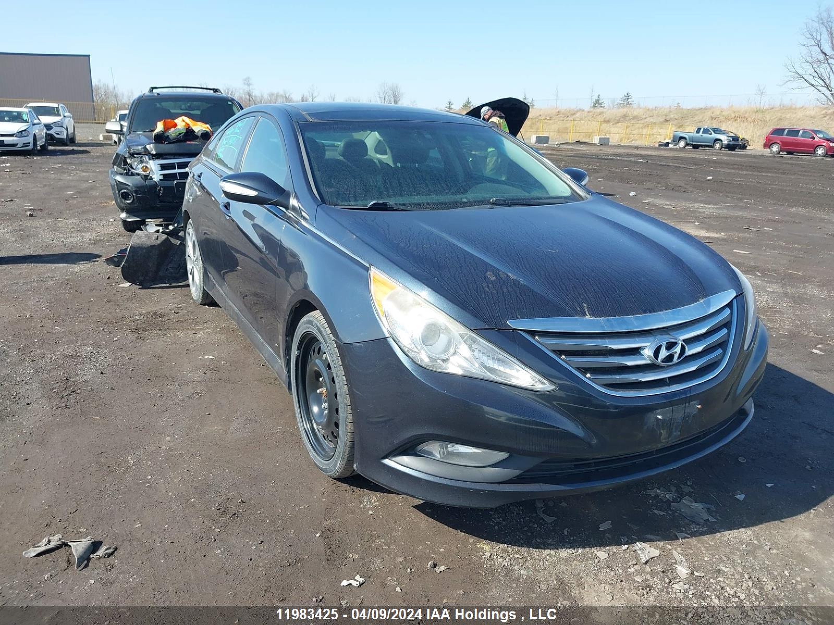 HYUNDAI SONATA 2014 5npec4ac6eh872478