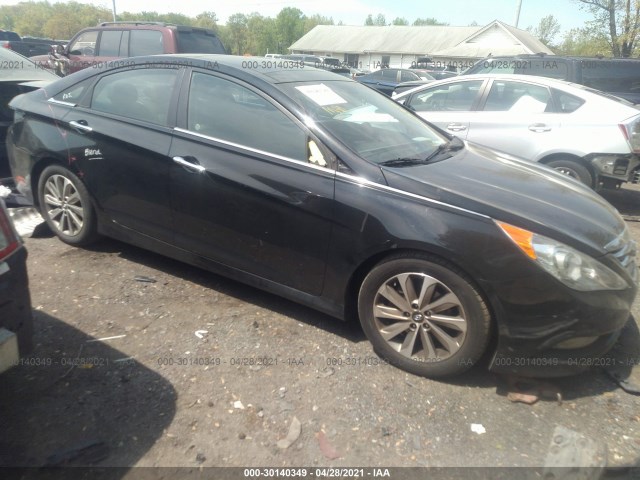 HYUNDAI SONATA 2014 5npec4ac6eh917841