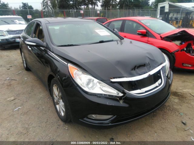 HYUNDAI SONATA 2013 5npec4ac7dh530424