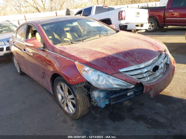 HYUNDAI SONATA 2013 5npec4ac7dh624173