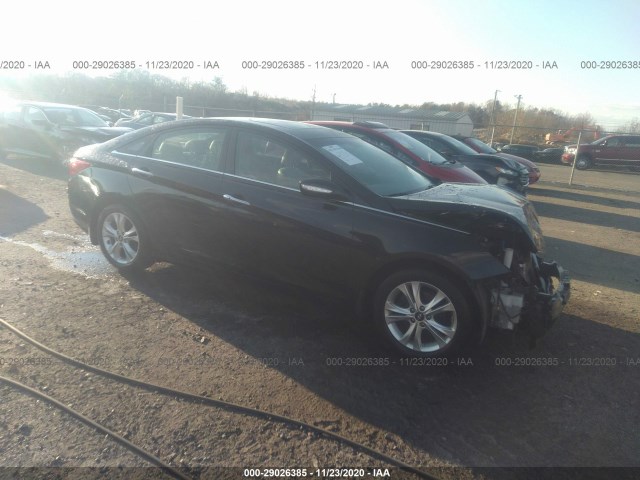 HYUNDAI SONATA 2013 5npec4ac7dh649025