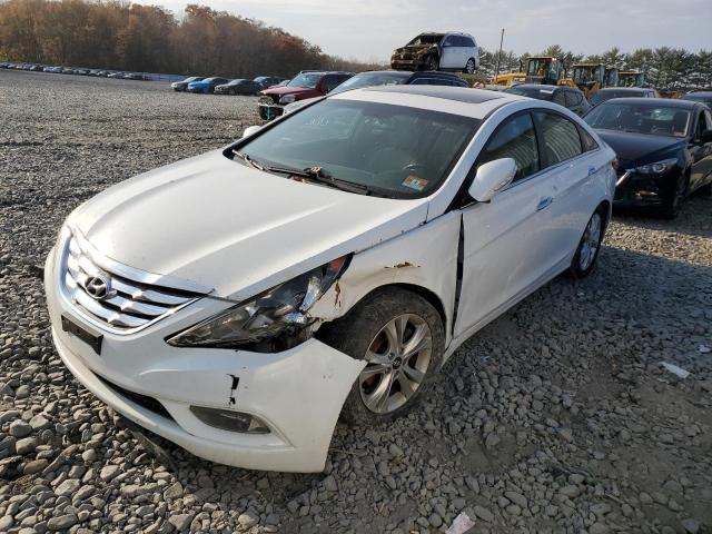 HYUNDAI SONATA 2013 5npec4ac7dh737055