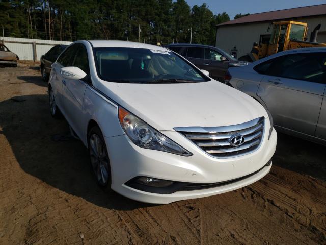 HYUNDAI SONATA SE 2014 5npec4ac7eh844799