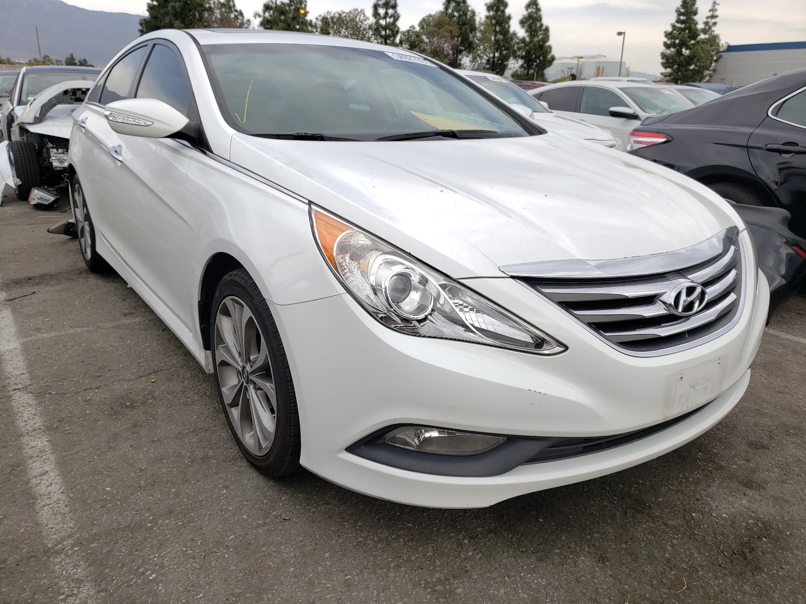 HYUNDAI SONATA SE 2014 5npec4ac7eh881884