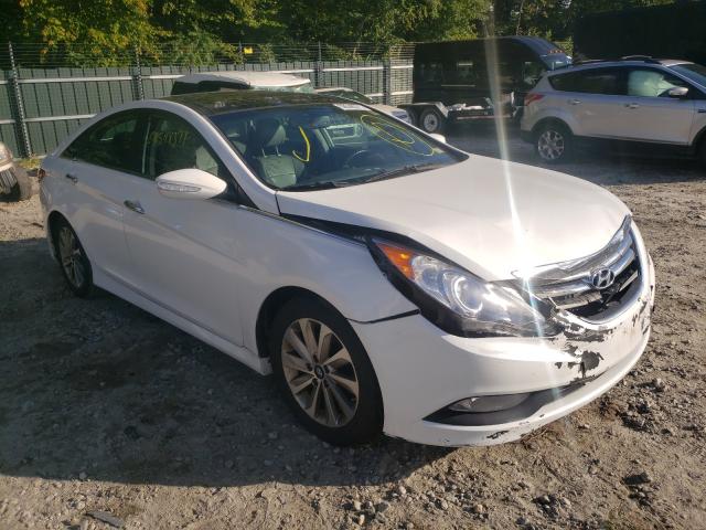 HYUNDAI SONATA SE 2014 5npec4ac7eh934521