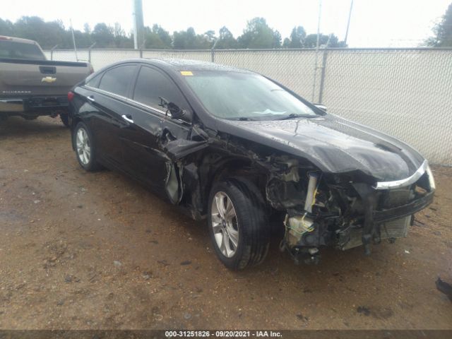 HYUNDAI SONATA 2013 5npec4ac8dh505824