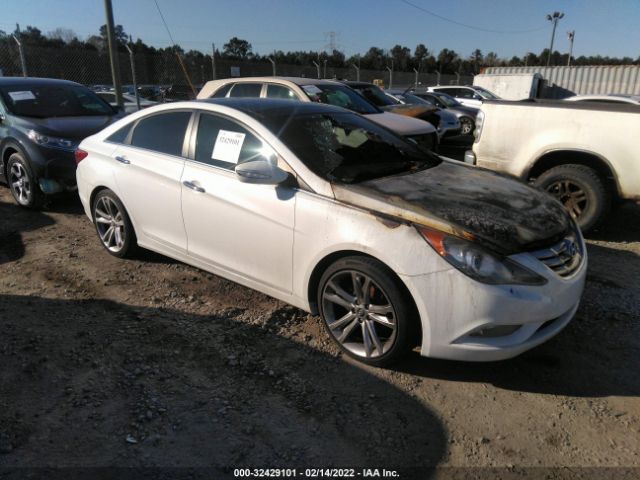 HYUNDAI SONATA 2013 5npec4ac8dh628328