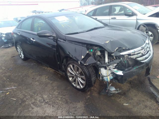 HYUNDAI SONATA 2013 5npec4ac8dh705179