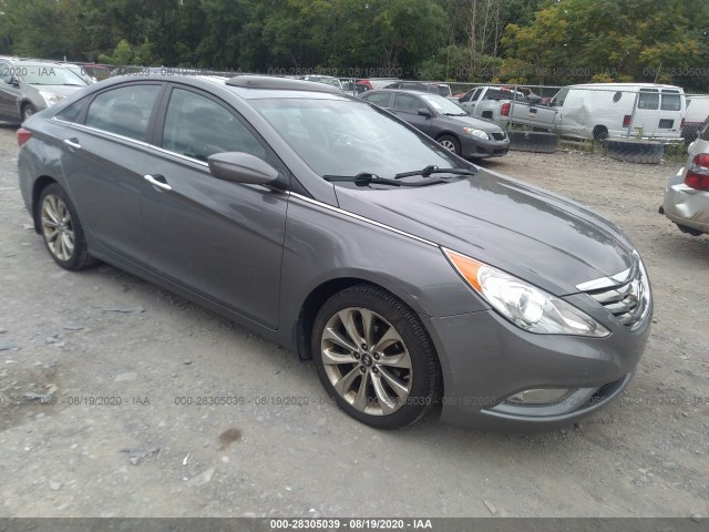 HYUNDAI SONATA 2013 5npec4ac8dh721088