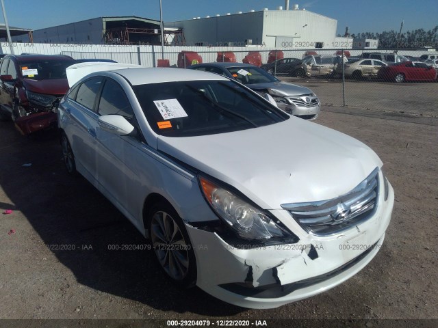 HYUNDAI SONATA 2014 5npec4ac8eh827445