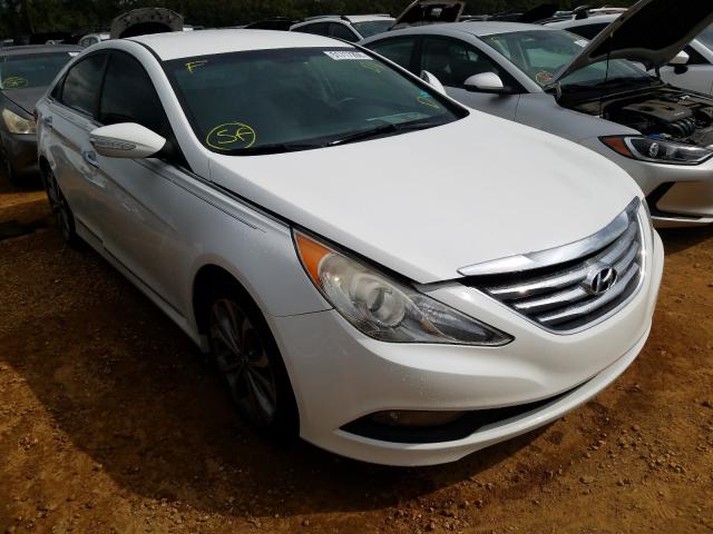 HYUNDAI SONATA SE 2014 5npec4ac8eh832693