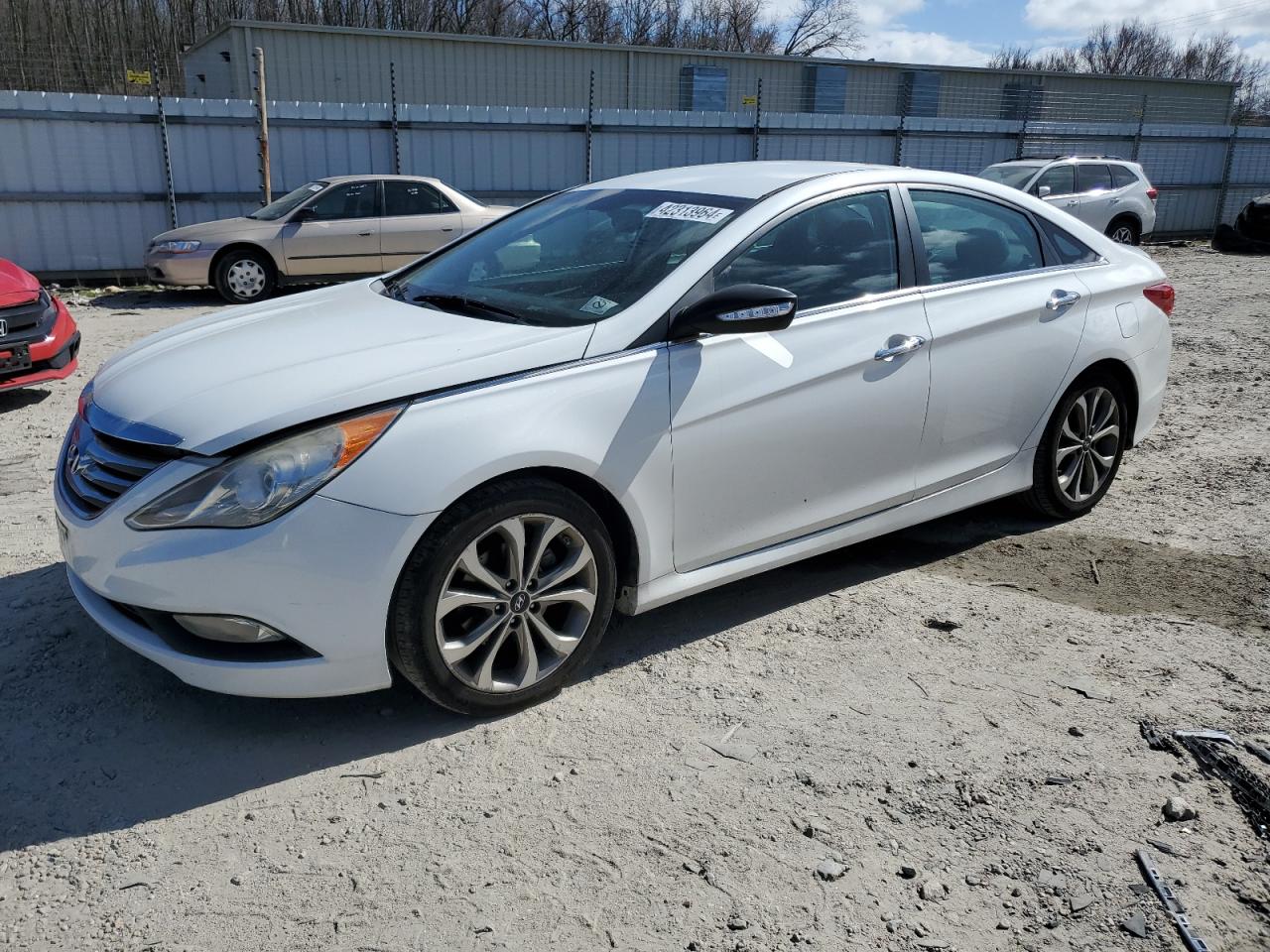 HYUNDAI SONATA 2014 5npec4ac8eh880517