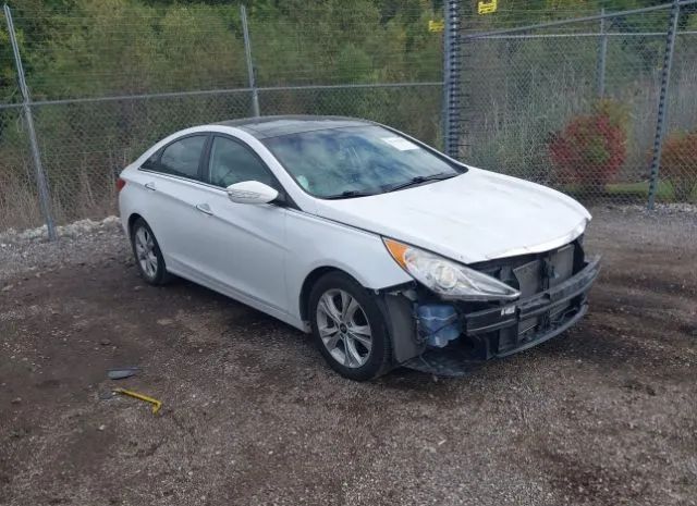 HYUNDAI SONATA 2013 5npec4ac9dh514578