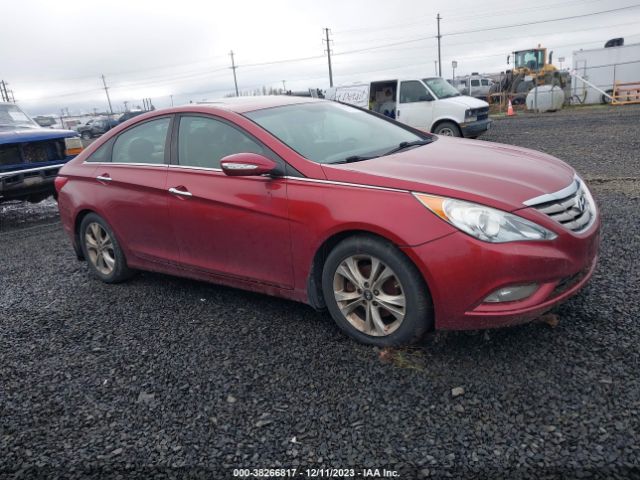 HYUNDAI SONATA 2013 5npec4ac9dh527931