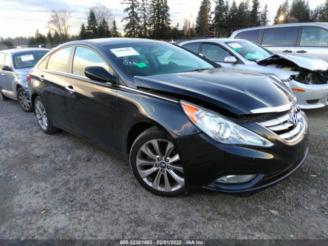 HYUNDAI SONATA 2013 5npec4ac9dh703327