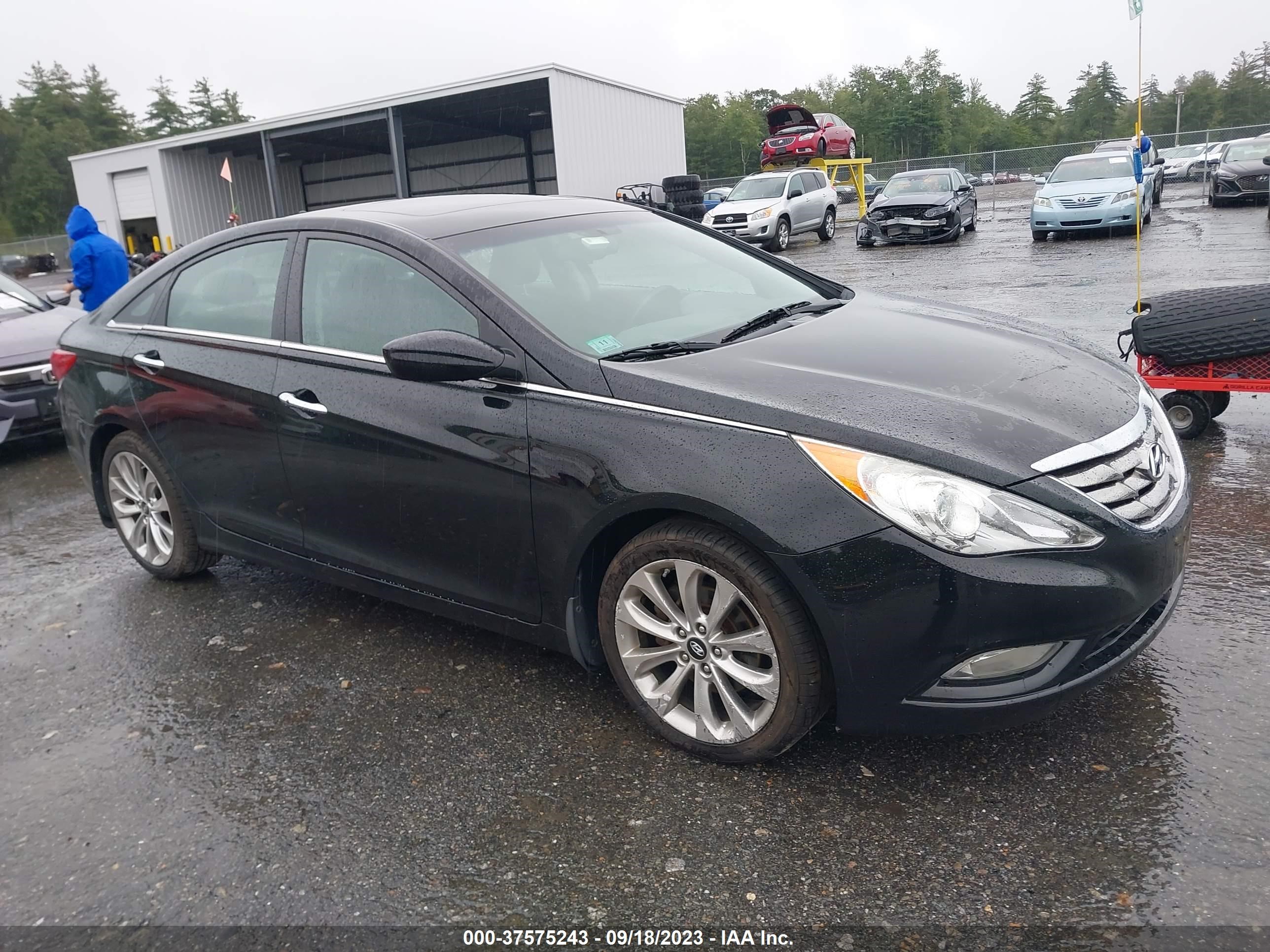 HYUNDAI SONATA 2013 5npec4ac9dh759526