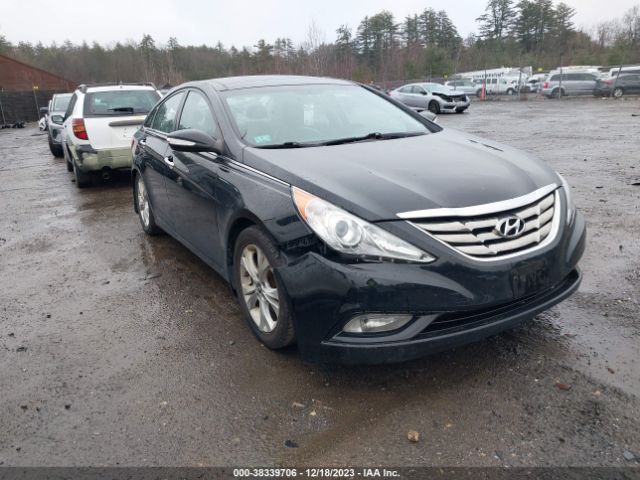 HYUNDAI SONATA 2013 5npec4ac9dh789433