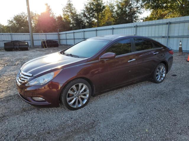 HYUNDAI SONATA SE 2011 5npec4acxbh026351