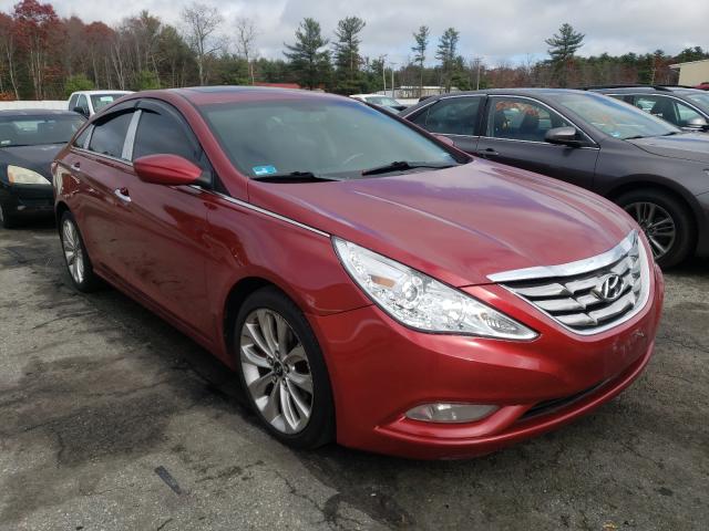 HYUNDAI SONATA SE 2011 5npec4acxbh049001