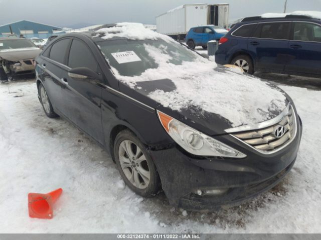 HYUNDAI SONATA 2011 5npec4acxbh186231