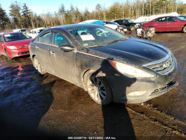 HYUNDAI SONATA 2011 5npec4acxbh301992