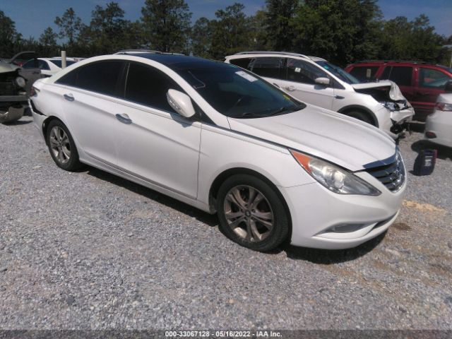 HYUNDAI SONATA 2012 5npec4acxch494002