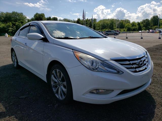 HYUNDAI SONATA SE 2013 5npec4acxdh512564