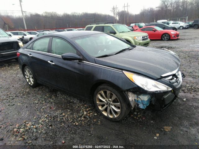 HYUNDAI SONATA 2013 5npec4acxdh517165