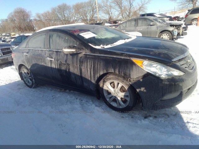 HYUNDAI SONATA 2013 5npec4acxdh520566